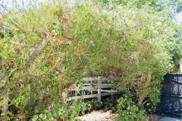 Detail Gallery Image 54 of 58 For 736 Mar Vista Dr, Vista,  CA 92081 - 1 Beds | 1 Baths