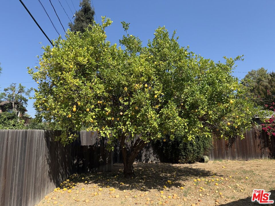 MLS #25595369 image #12