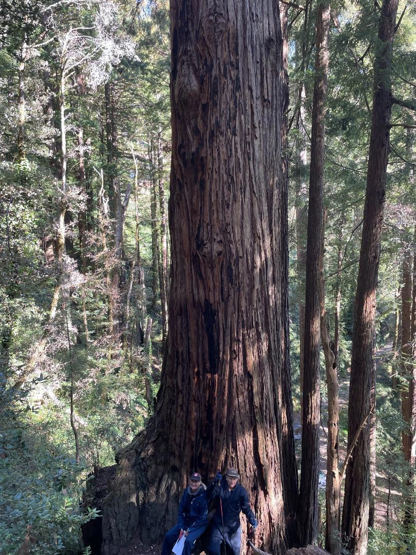 MLS #ML81979482 image #16