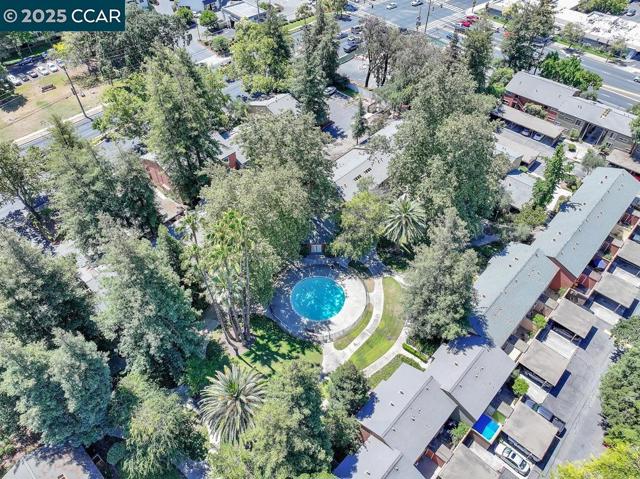 3051 Treat Blvd., Concord CA: https://media.crmls.org/mediaz/372457c7-4d5d-4ee9-bacb-8289515f64db.jpg