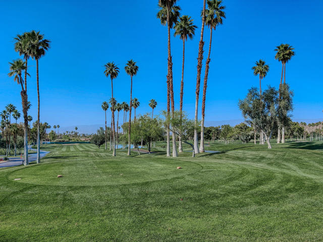 73440 Dalea Lane, Palm Desert CA: https://media.crmls.org/mediaz/37289986-7969-4023-a349-40a799f357b2.jpg