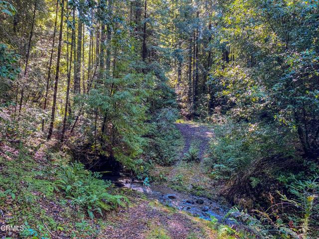 0 Irmulco Road, Willits CA: https://media.crmls.org/mediaz/3750ed2c-0004-4c0b-a7ec-06d4c0a07506.jpg
