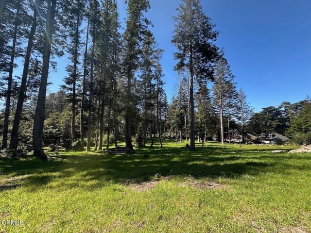 Detail Gallery Image 4 of 6 For 26555 Highway 1, Fort Bragg,  CA 95437 - – Beds | – Baths