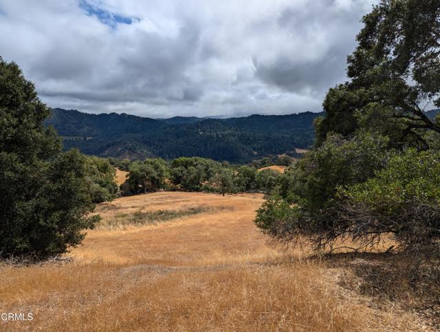 Detail Gallery Image 45 of 59 For 24051 Fig Tree Ln, Yorkville,  CA 95494 - – Beds | – Baths