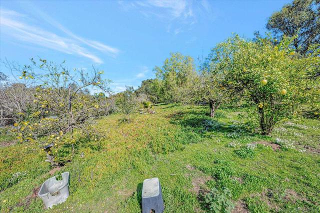 1761 Winterwarm Dr, Fallbrook CA: https://media.crmls.org/mediaz/3780dd00-9d73-4a9c-863b-9bcce7171490.jpg
