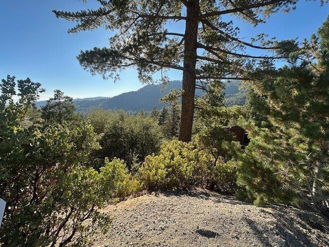 0 Howland Road, Idyllwild CA: https://media.crmls.org/mediaz/37863a08-e53b-4e96-9c4f-112569c4cfc4.jpg