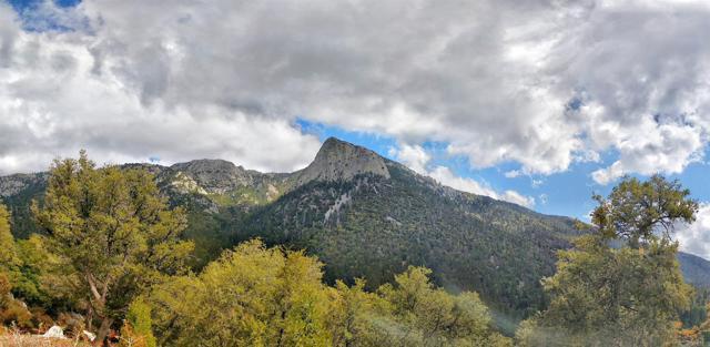 Detail Gallery Image 2 of 75 For 55450 Forest Haven, Idyllwild,  CA 92549 - 4 Beds | 4/1 Baths