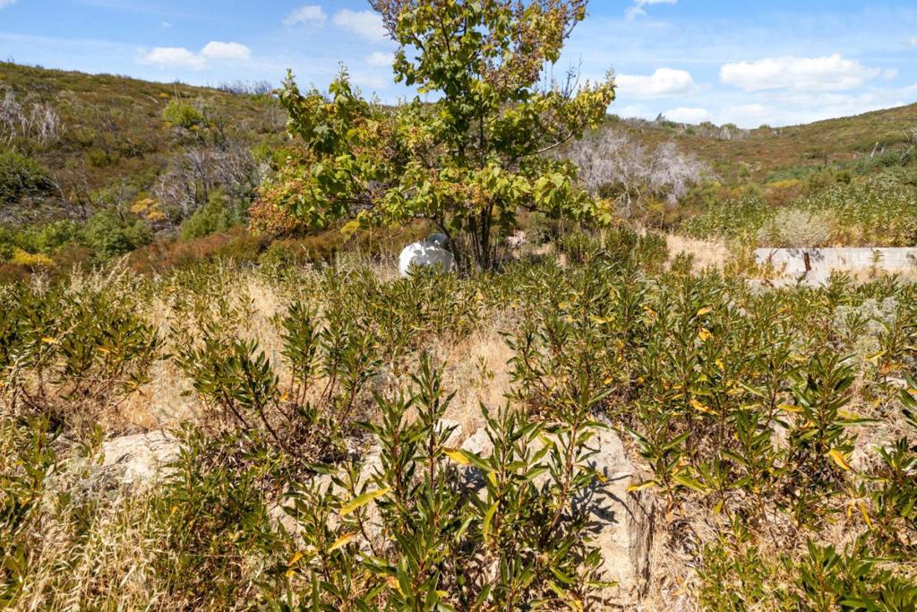 MLS #ML82020952 image #48