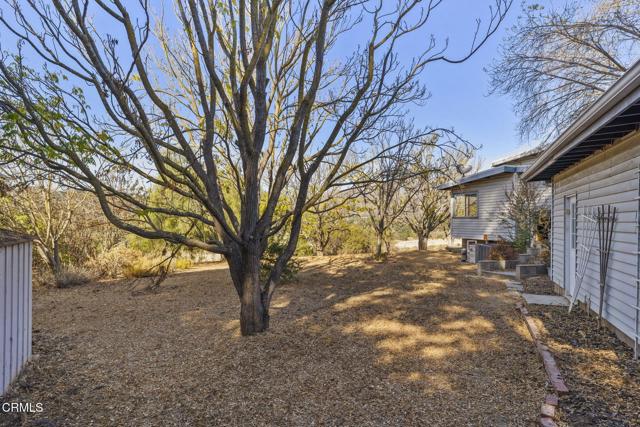 Detail Gallery Image 31 of 66 For 2293 Woodland Ave, Ojai,  CA 93023 - 3 Beds | 1/1 Baths