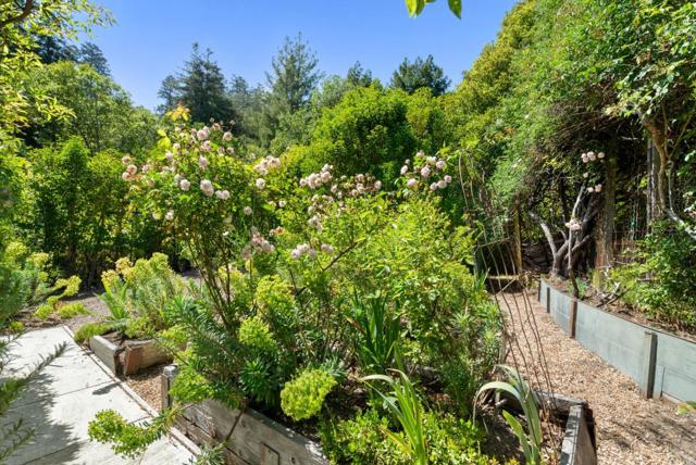 390 Glen Canyon Road, Santa Cruz CA: https://media.crmls.org/mediaz/37b9aff8-b2e6-414d-a712-d16052d5a15c.jpg
