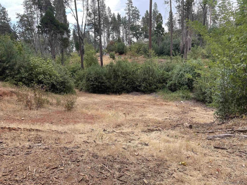 MLS #250037729SD image #9