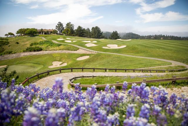 23 Tehama (Homesite 40), Carmel CA: https://media.crmls.org/mediaz/37c1a63a-4f13-4b89-87a1-2457262ca1b0.jpg