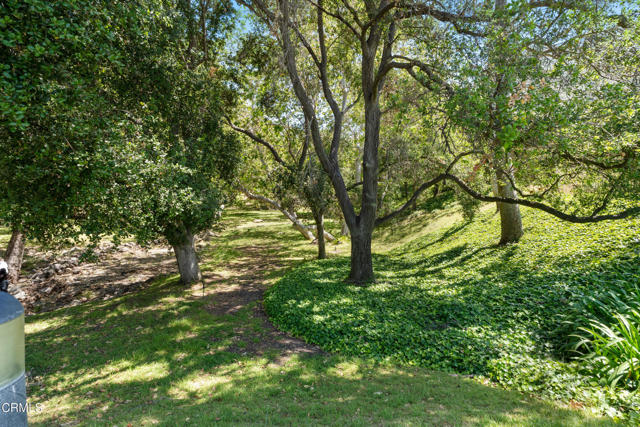 Detail Gallery Image 33 of 33 For 6526 Lada Ave, Camarillo,  CA 93012 - 2 Beds | 2 Baths