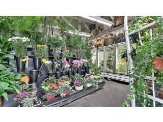 3876 3876 El Camino Real, Palo Alto CA: https://media.crmls.org/mediaz/37c7dcf3-0230-47d9-8759-bd7e9f92da12.jpg