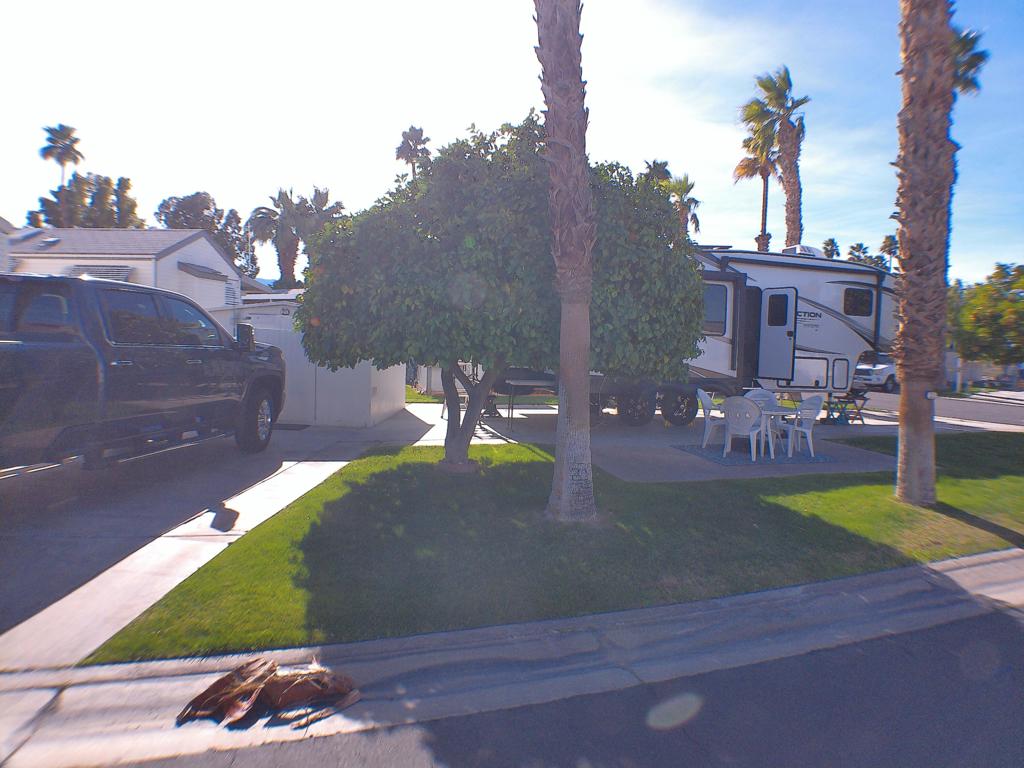 MLS #219124917DA image #11
