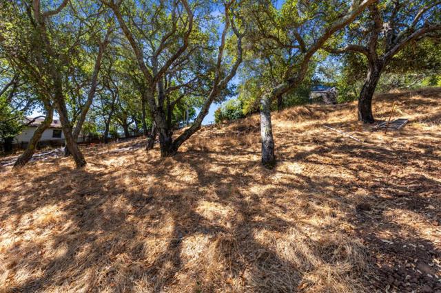 0 S Palomar Drive, Redwood City CA: https://media.crmls.org/mediaz/37d4f044-87d7-4a03-a0bb-f36bd5175a09.jpg