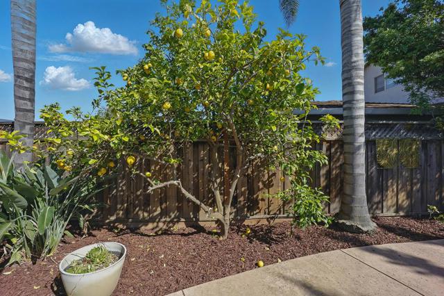 4510 Calaveras Avenue, Fremont CA: https://media.crmls.org/mediaz/37eb2810-b287-4a05-922b-1be7458fe1b0.jpg
