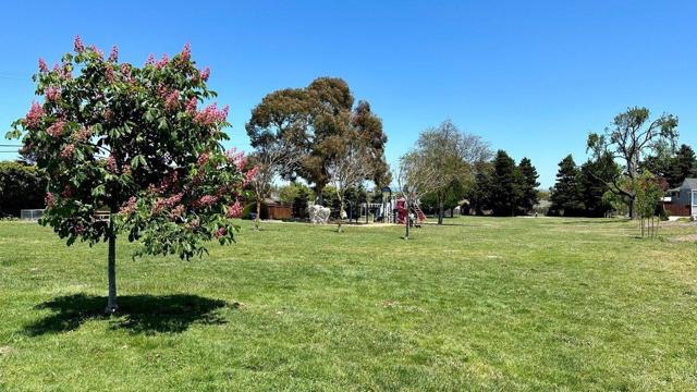 753 Cypress Avenue, San Bruno CA: https://media.crmls.org/mediaz/37f83b9a-670a-4336-9aff-7703441b68e8.jpg