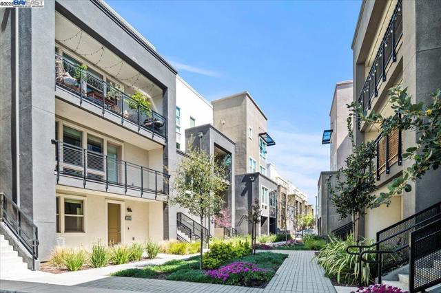 5532 Stout Street, Dublin CA: https://media.crmls.org/mediaz/37fc7987-03fe-479e-b4ec-a72005bd80e7.jpg