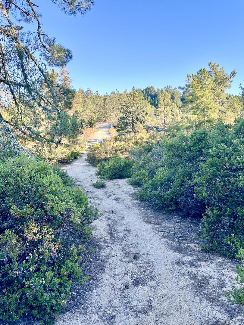 MLS #ML81977847 image #7