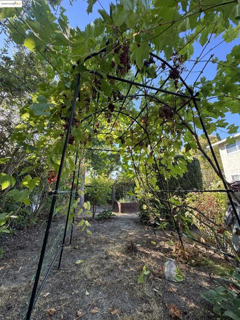 8 Juniper Way, Moraga CA: https://media.crmls.org/mediaz/37fec991-829a-4d06-8dfa-94cdd06d7dde.jpg