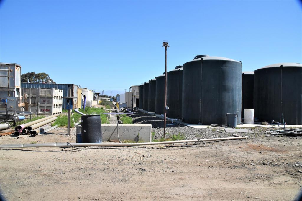 MLS #220007199 image #6