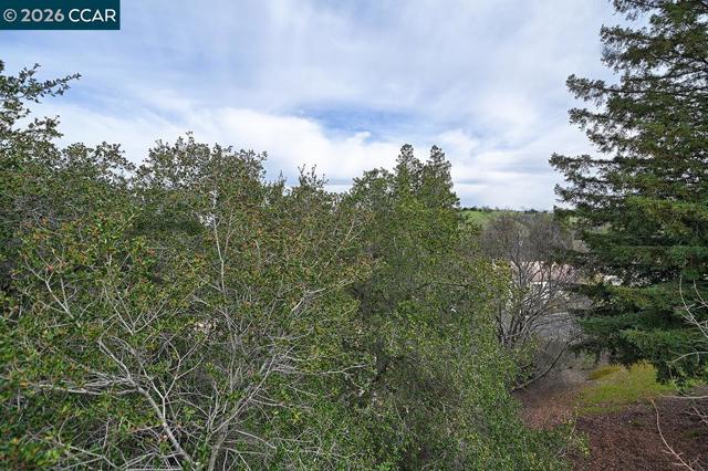 Image 12 of 60 For 3852 Terra Granada Dr  2b