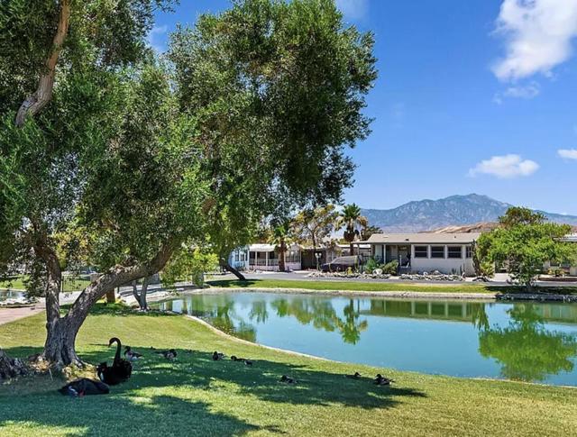 74711 Dillon Rd Spc 746, Desert Hot Springs CA: https://media.crmls.org/mediaz/3806a894-17b5-4b21-849c-3857d10d120f.jpg