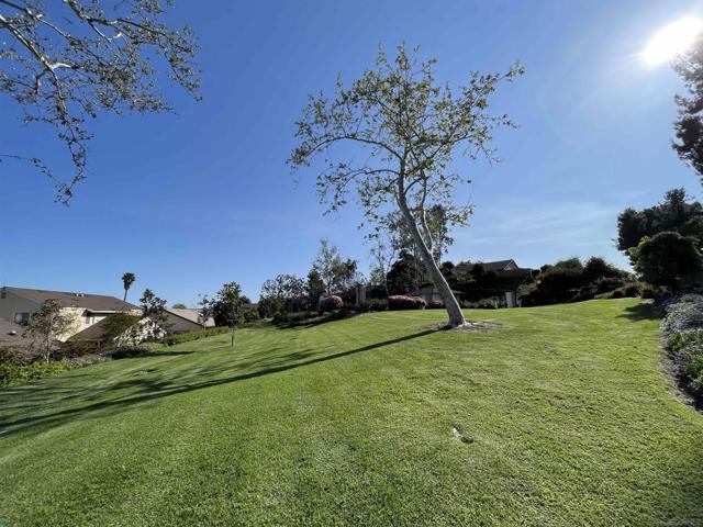 545 Shady Brook Pl, Escondido CA: https://media.crmls.org/mediaz/380757d9-f45a-47d2-b965-1ee8211b066c.jpg