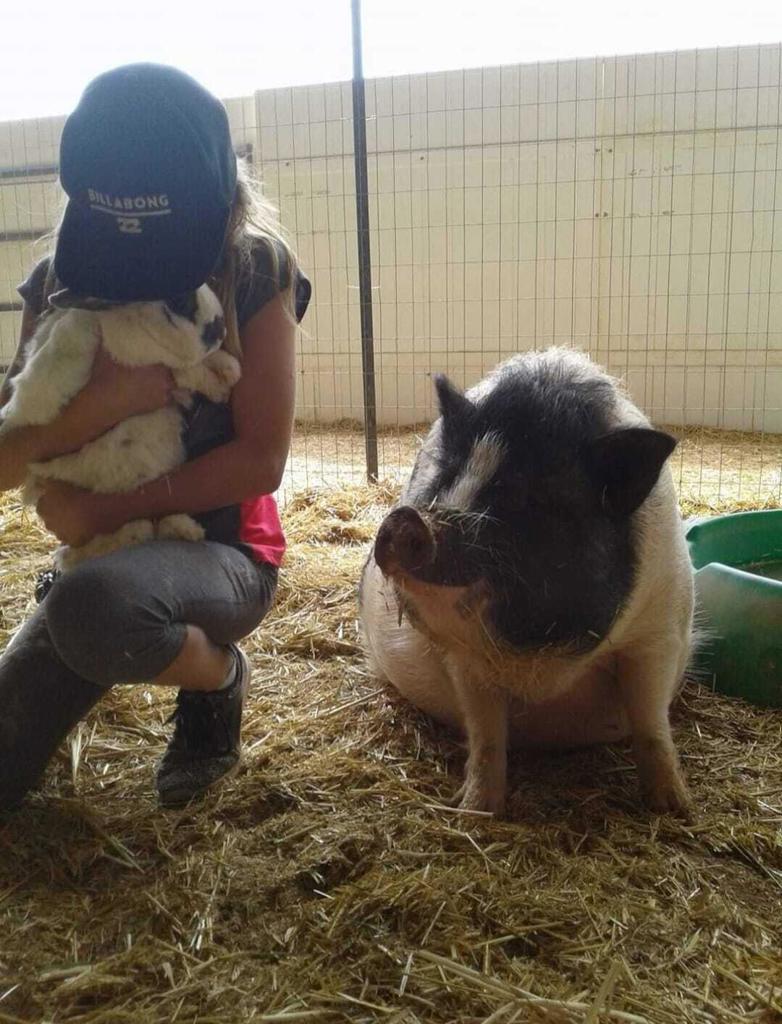 MLS #219138603PS image #27