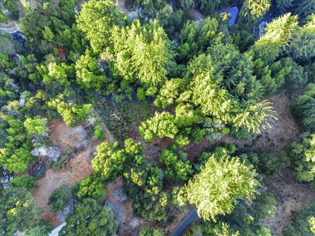 12 Montecito Road, Woodside CA: https://media.crmls.org/mediaz/3810b213-9415-462f-b833-554b684f55a5.jpg