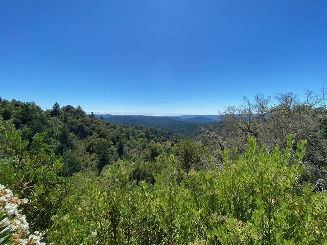 21460 Bear Creek Road, Los Gatos CA: https://media.crmls.org/mediaz/382019be-b68a-424d-bb14-3df2b675cabb.jpg