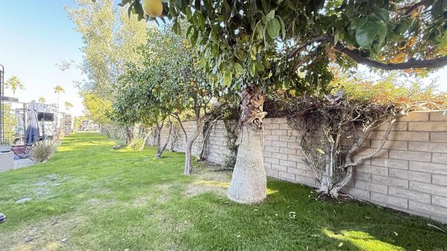 Detail Gallery Image 11 of 17 For 69411 Ramon Rd #886, Cathedral City,  CA 92234 - – Beds | – Baths