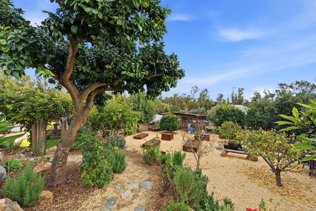 Detail Gallery Image 56 of 67 For 1111 Palomino Rd, Fallbrook,  CA 92028 - 4 Beds | 3 Baths