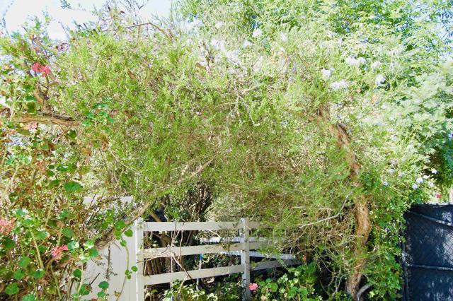 Detail Gallery Image 56 of 58 For 736 Mar Vista Dr, Vista,  CA 92081 - 1 Beds | 1 Baths