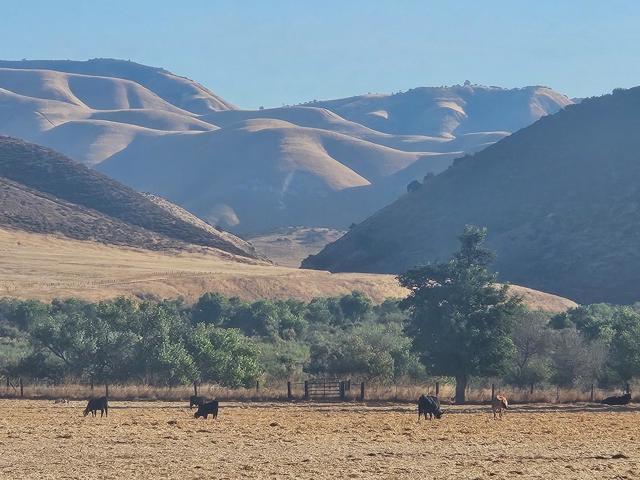 54800 Lonoak Road, King City CA: https://media.crmls.org/mediaz/383cfb9a-ad78-4f24-8129-dca1a6691248.jpg