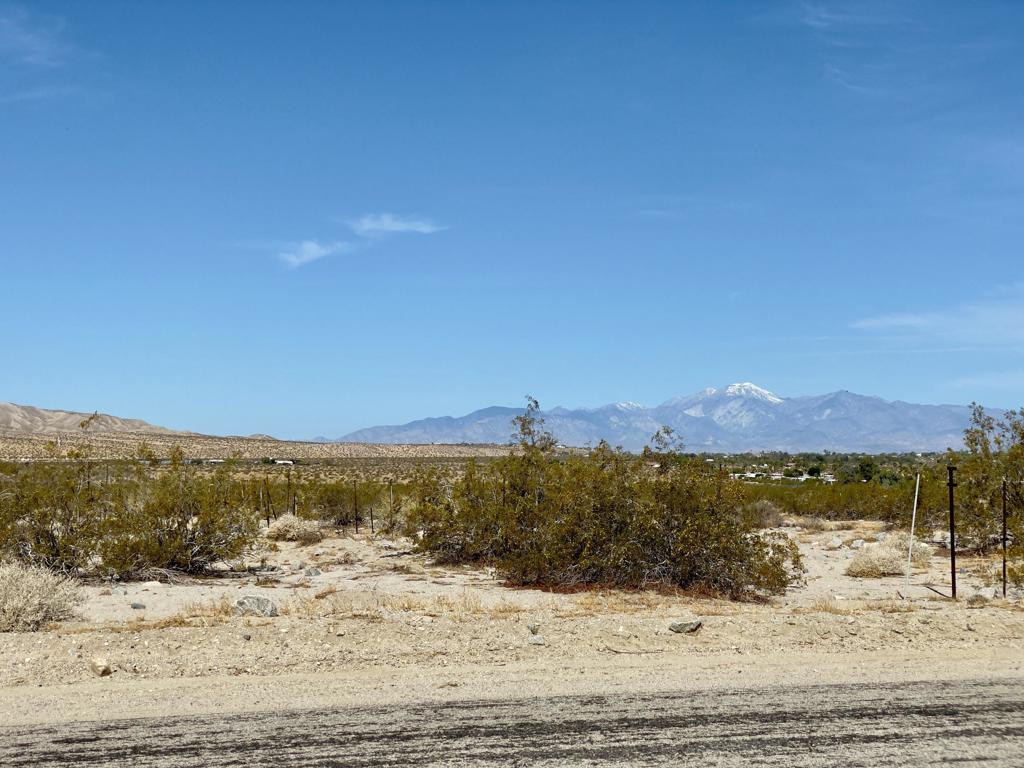 MLS #219128124DA image #7