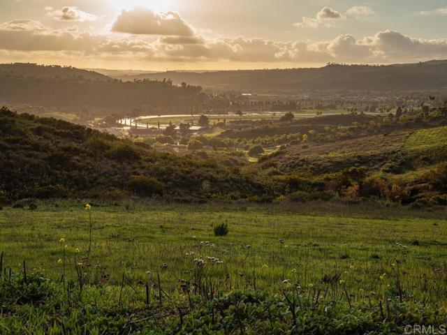 0 Chisholm Trail, Bonsall, California 92003, ,Land,For Sale,0 Chisholm Trail,CRNDP2400890