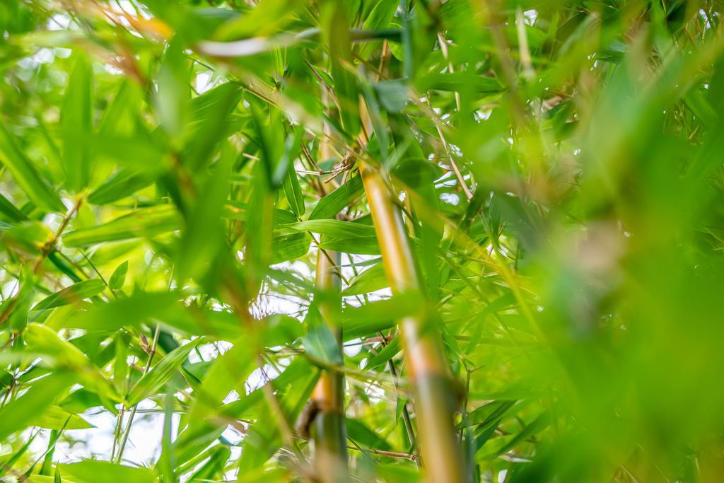 https://media.crmls.org/mediaz/384e8905-0ead-475f-a98d-e41d710f25e8.jpg?preset=X-Large