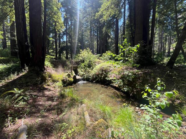 16580 Jamison Creek Road, Boulder Creek CA: https://media.crmls.org/mediaz/3854d30a-a134-4601-bcd5-ddcec322e1b7.jpg