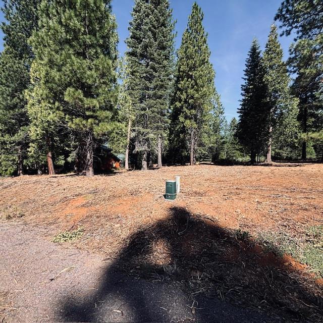 758 Red River Drive, Lake Almanor CA: https://media.crmls.org/mediaz/38583aa8-1605-4ff0-84e6-38844a5ce824.jpg