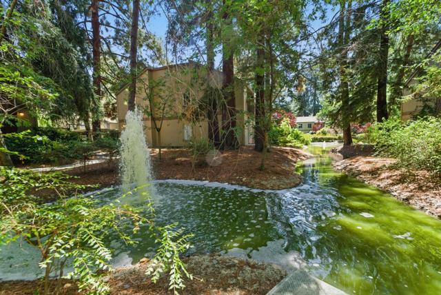 505 Cypress Point Drive, Mountain View CA: https://media.crmls.org/mediaz/385c9e7c-dc66-4909-9336-4aec47bd41bf.jpg