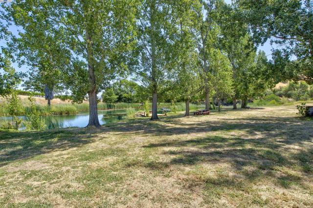 5281 Chiles Pope Valley Rd,  CA: https://media.crmls.org/mediaz/38652edb-5ef7-4f14-8f55-732652debbd6.jpg
