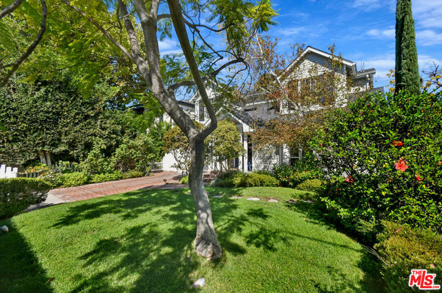 12359 Califa Street photo 13