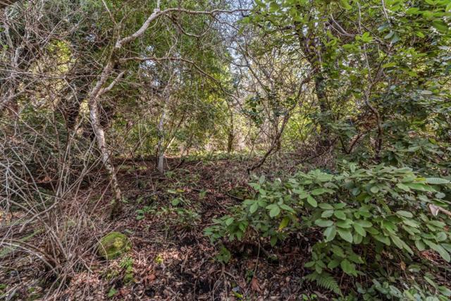0 Lakeview Avenue, Felton CA: https://media.crmls.org/mediaz/386f135f-9644-4122-a1dd-10059969996b.jpg