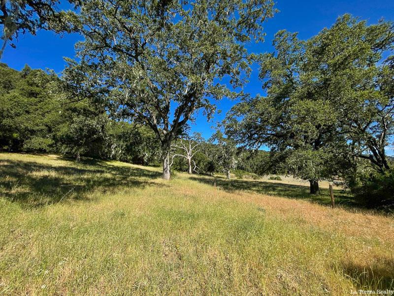 MLS #ML81896622 image #7