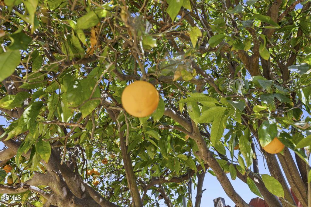 https://media.crmls.org/mediaz/387b5ec3-9196-442f-a840-9853bb855d3c.jpg?preset=X-Large