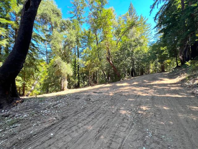 0 E Hilton, Boulder Creek CA: https://media.crmls.org/mediaz/388daacf-7bc1-4634-8649-615cb8aeb4b9.jpg