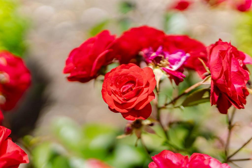 https://media.crmls.org/mediaz/3898bb12-ff38-472f-ac71-e96a2010d5db.jpg?preset=X-Large