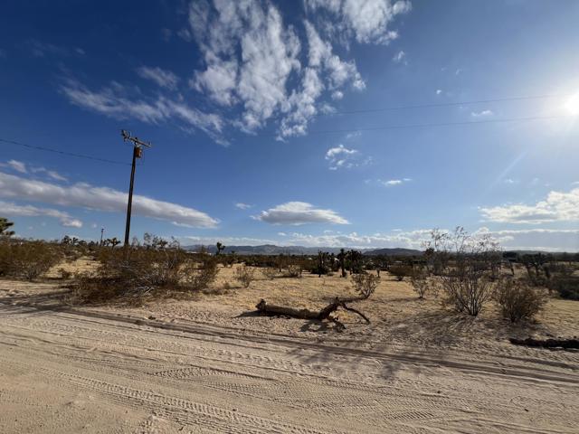 0 Campanula Street, Yucca Valley CA: https://media.crmls.org/mediaz/389a8b6e-d1d3-4f8a-b287-fd72dd090f36.jpg
